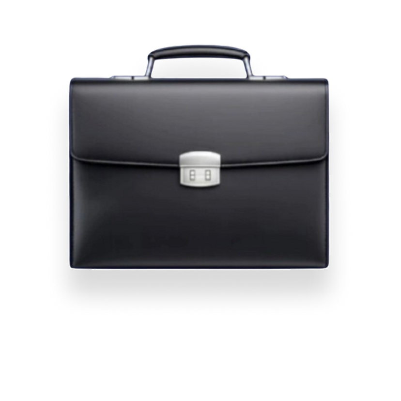 Professional financial briefcase representing thinkgrow.it consulting services